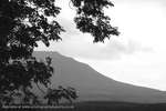 Gray Ingleborough