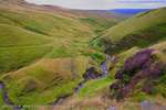 Little Stream Big Valley