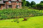 Vegetable Garden