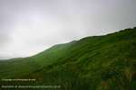 Whernside