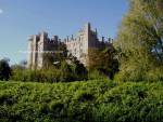 Woodland Castle