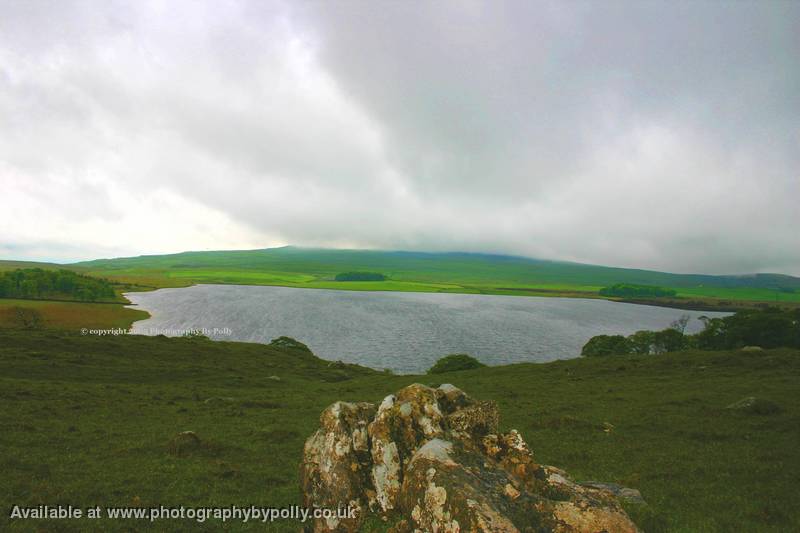 Tarn Haze