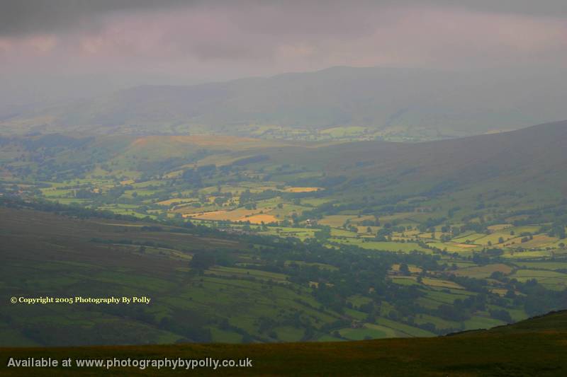 Wensleydale View