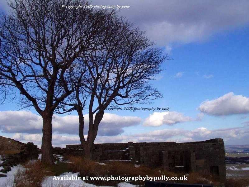 Wuthering Heights