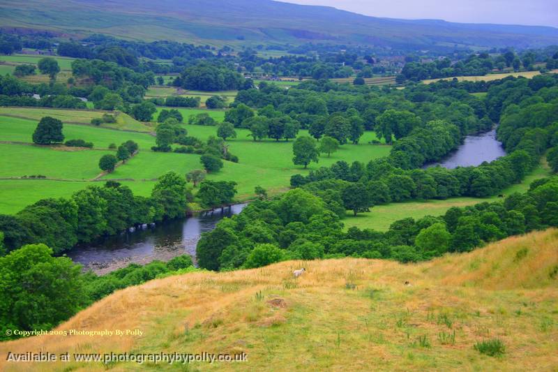 York Fields