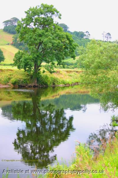 Lone Reflect