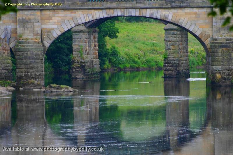 Stilt Reflection