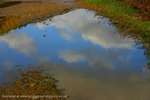 Puddle Clouds