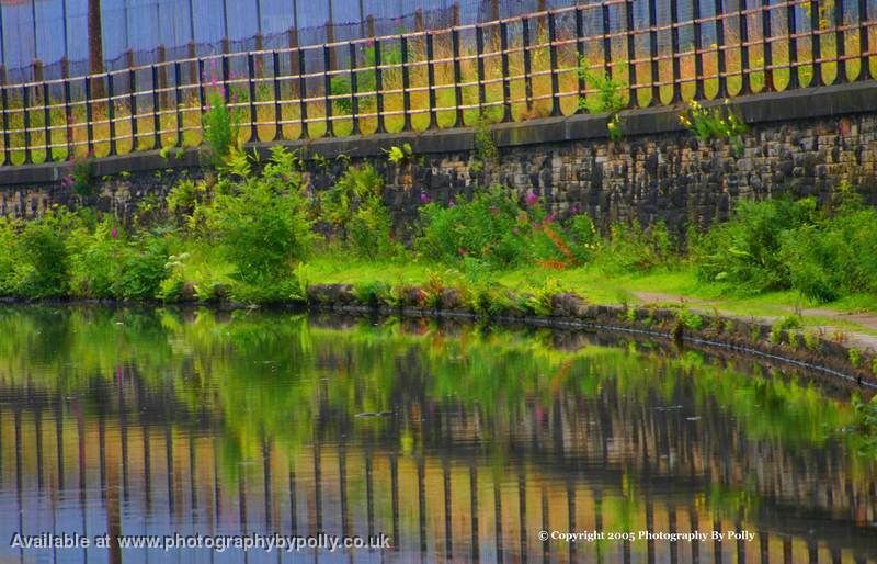 Yellow Grass Railings