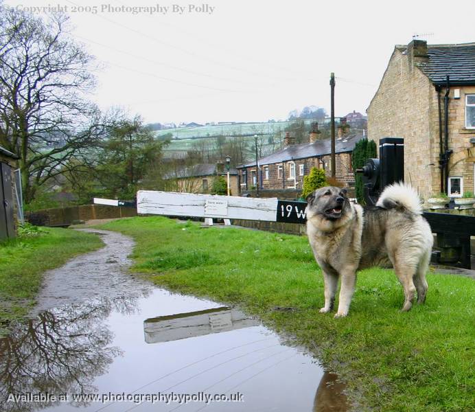 Yorkshire