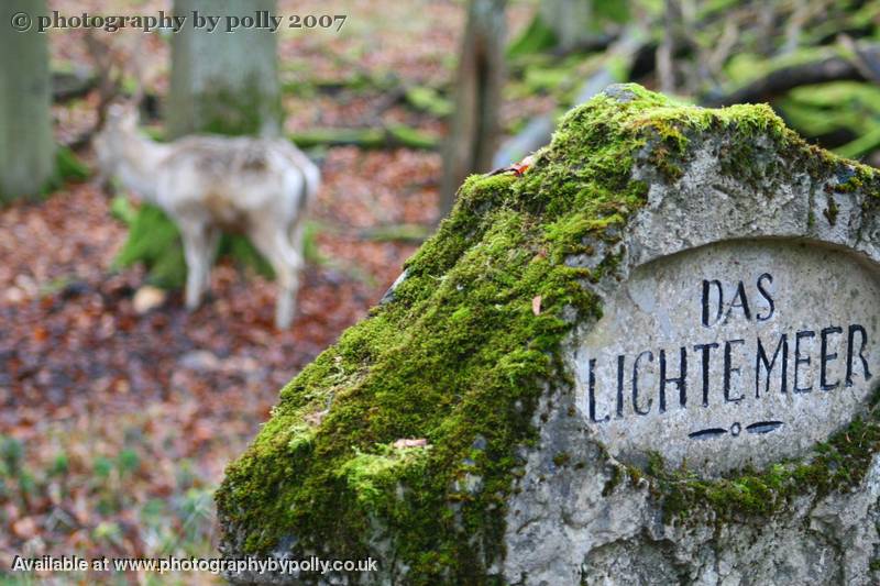 Das Lichemeer