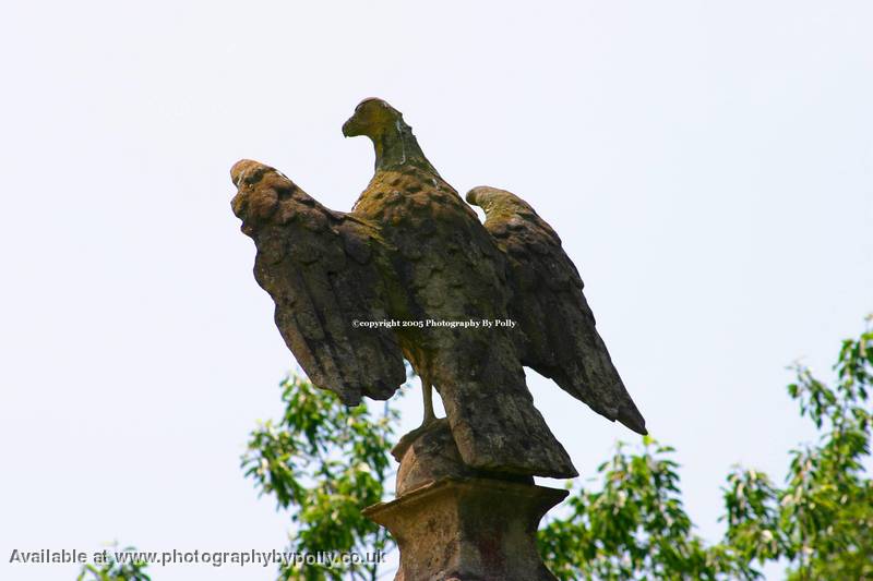 Eagle