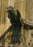 Gargoyle  Wings