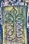 Leaved