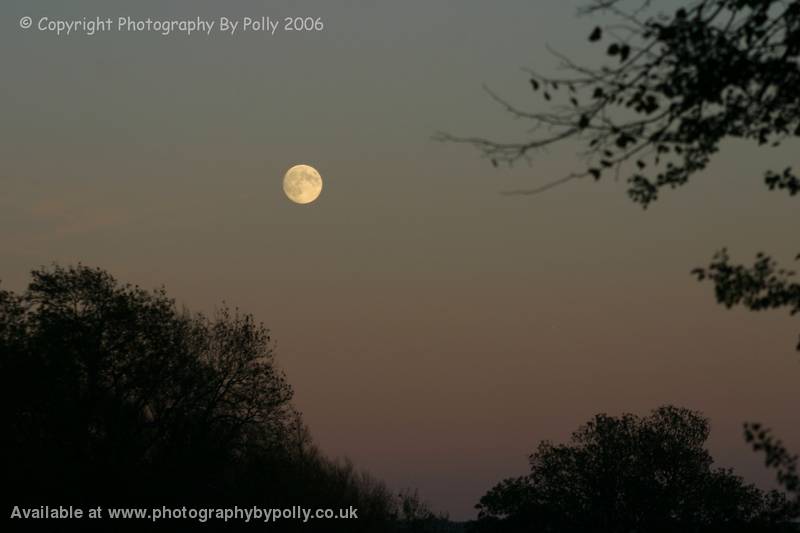 Arundel Moon