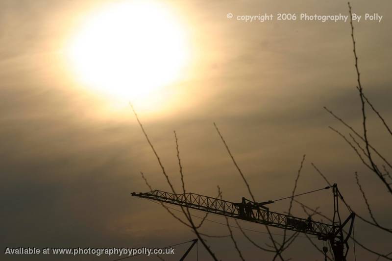 Crane Shadow