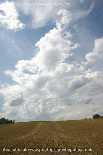 Field Sweep