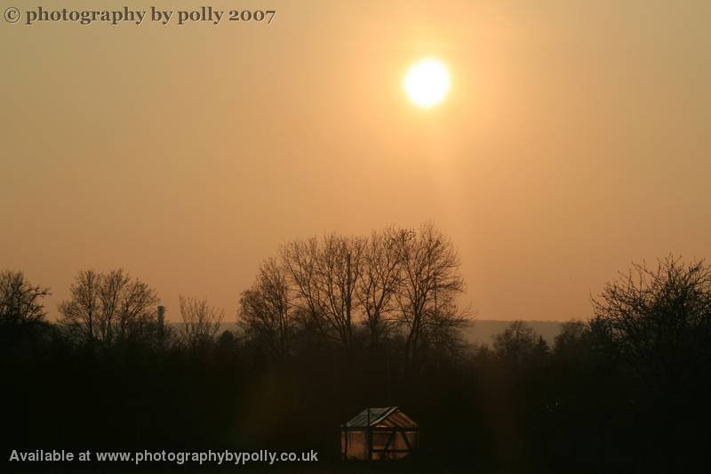 Glasshouse Glow