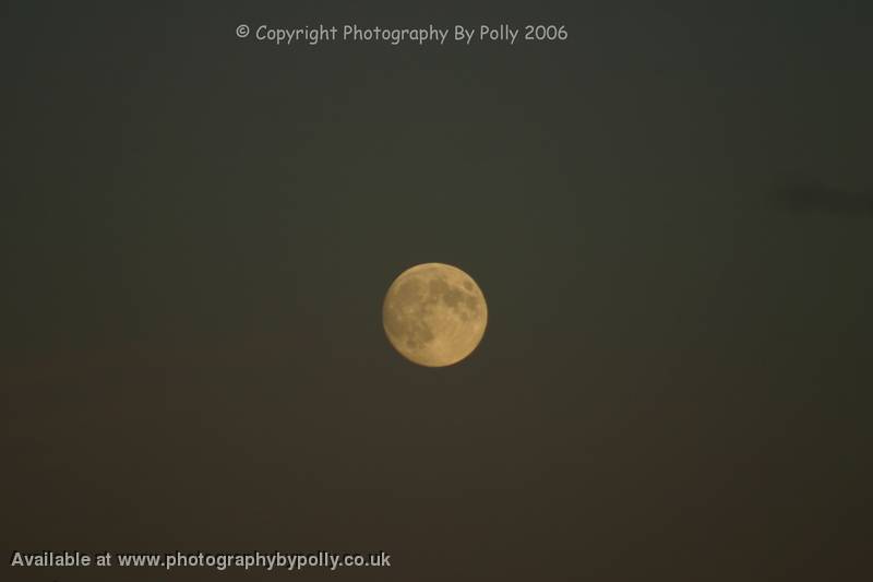 Pagham Moon