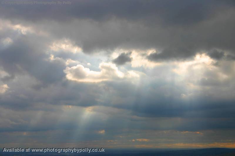 Rays of Light