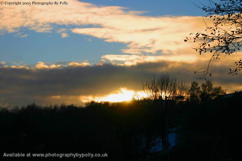 Snowy Skies one