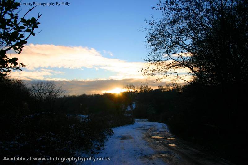 Snowy Skies two