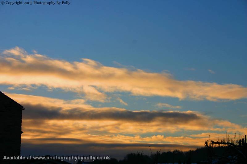 Snowy Skies three