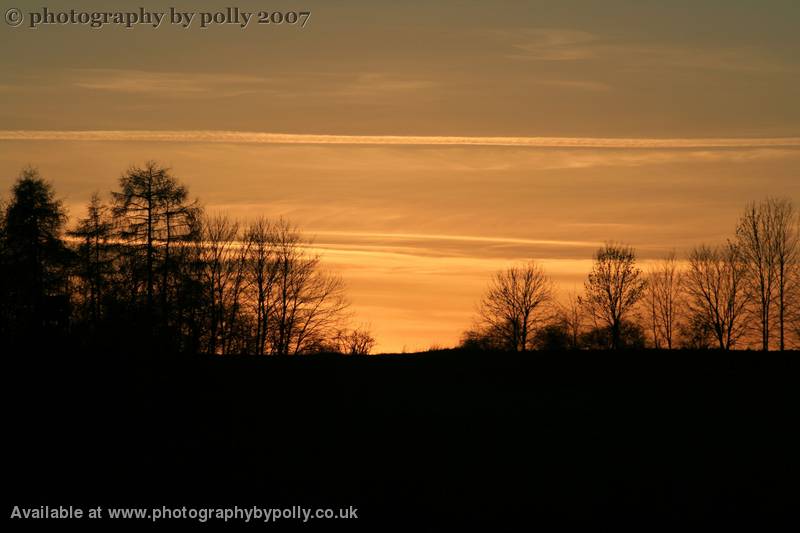 Sweet Sunset