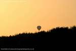 Treetop Floater