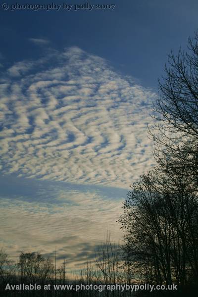 Uniform Skies