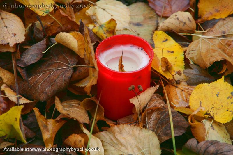 Autumn Vigil
