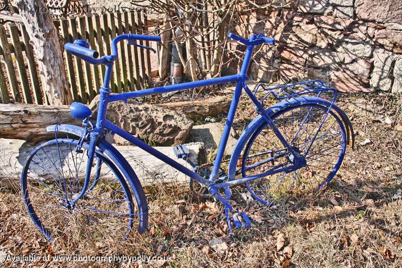 Blue Bike