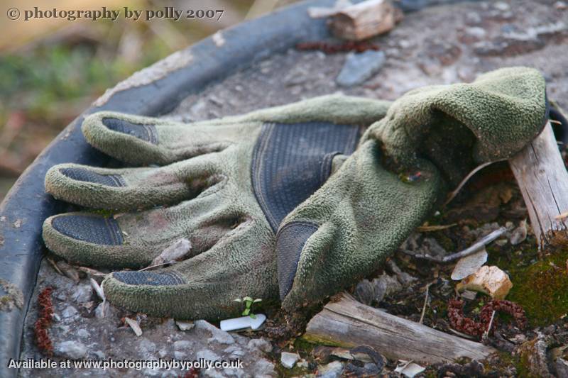 Garden Glove