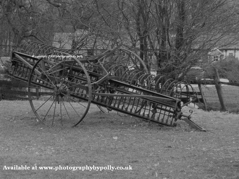 Old Harvester