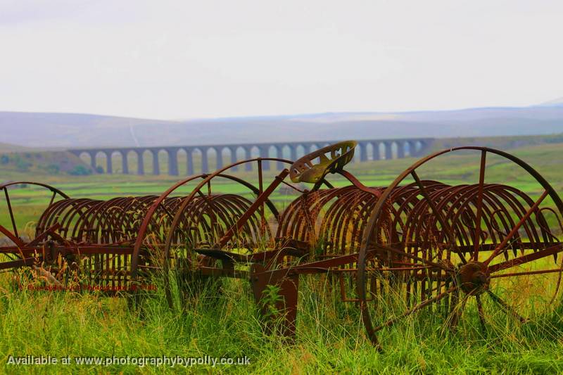 Rusted Seat