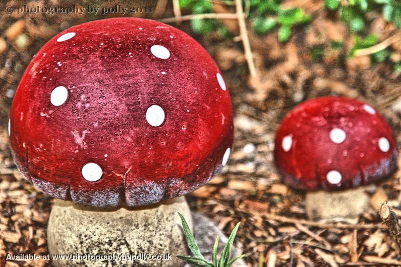 Shrooms