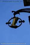 Flying Fox