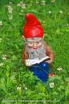 Philosopher Gnome