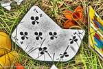 Spades