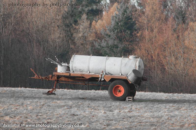 Watering Hole