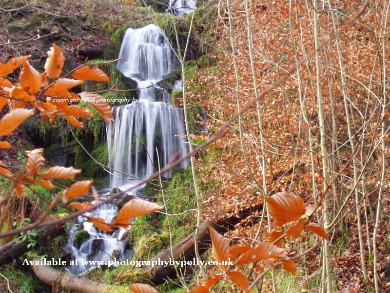 Auburn Cascade