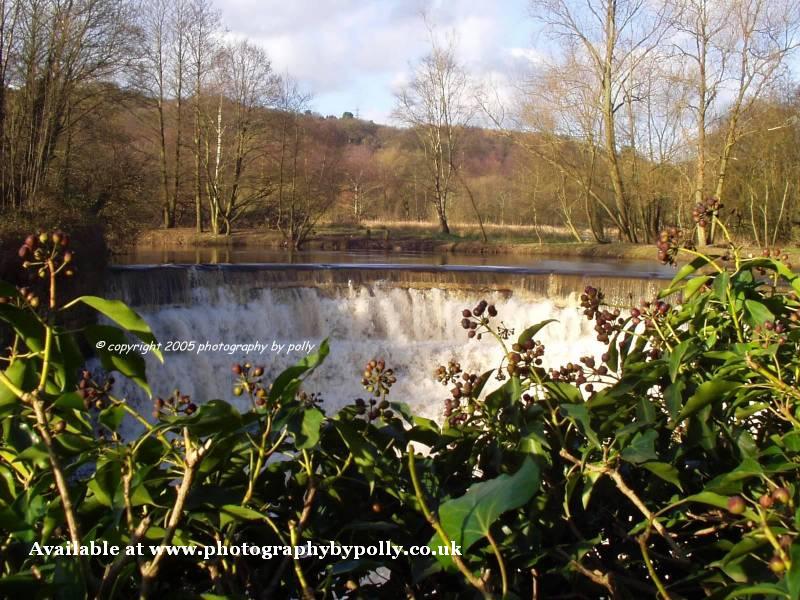 Berry Weir