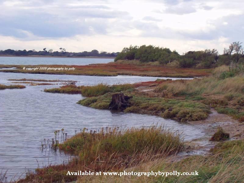 Bright Marsh