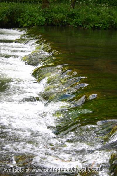 Bubbling Brook