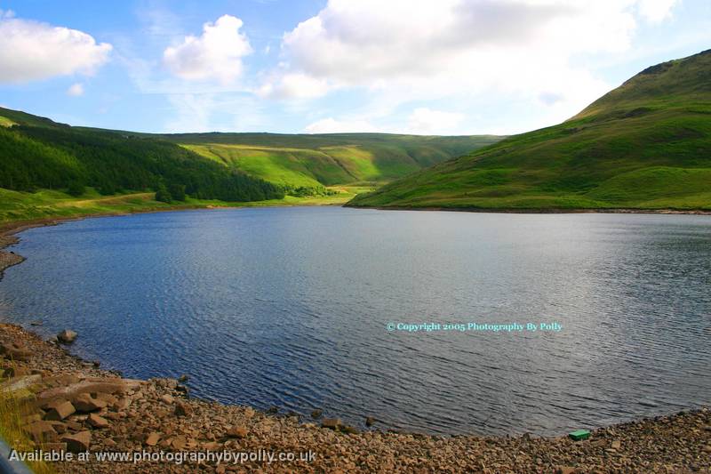 Dovedales Water