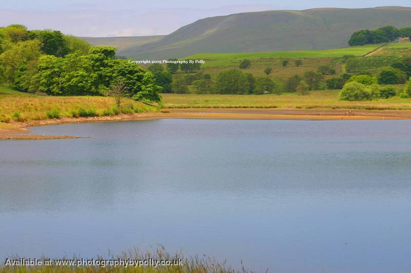 Gisburn Forest