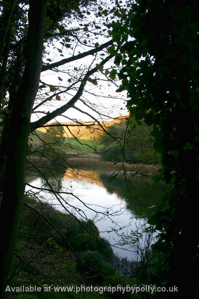 Lake Light View