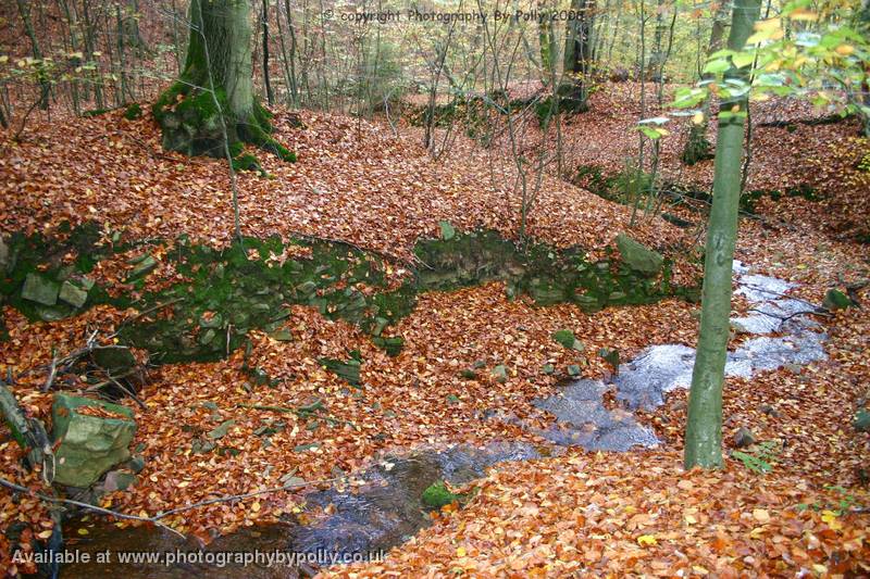 Leaf Leak