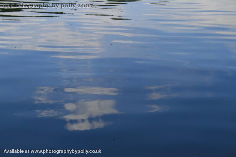 Mirror Cloud