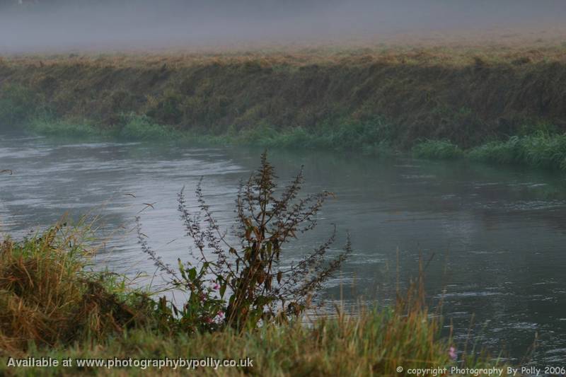 Misty Bank